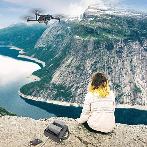 DJI Smatree - Stand-alone Laadstation SP150 4 DJI Smatree - Stand-alone Laadstation SP150 - Afbeelding 4